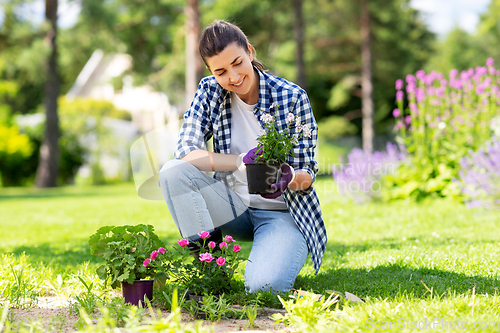 Image of woman planting rose flowers at summer garden