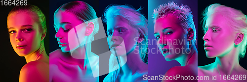 Image of Collage of portraits of young beautiful girls on dark background in neon. Concept of human emotions, facial expression, sales.