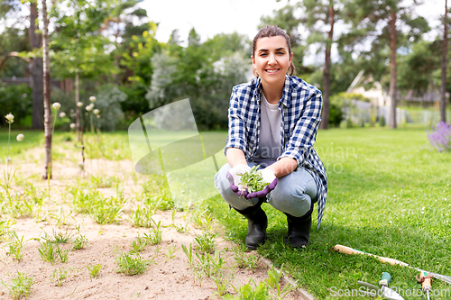 Image of woman weeding flowerbed at summer garden