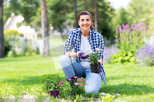 Image of woman planting rose flowers at summer garden