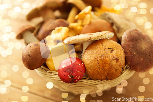 Image of basket of different edible mushrooms on wood