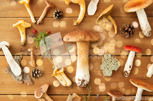 Image of different edible mushrooms on wooden background