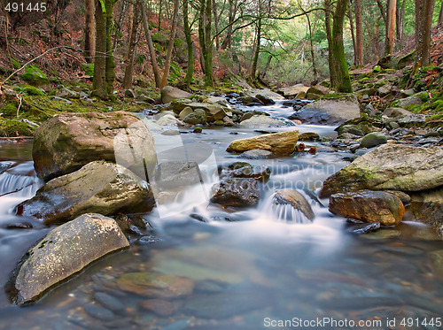 Image of Flowing River