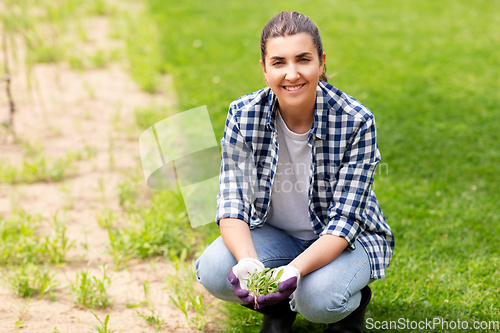 Image of woman weeding flowerbed at summer garden