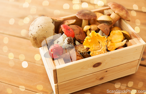 Image of wooden box of different edible mushrooms