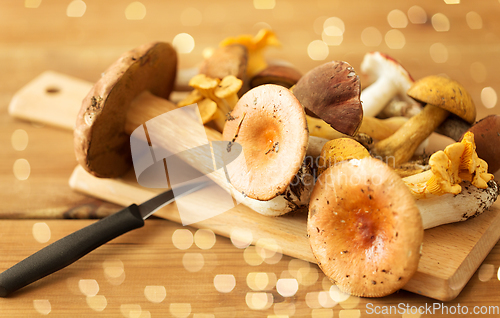 Image of edible mushrooms on wooden cutting board and knife