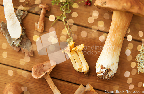 Image of different edible mushrooms on wooden background