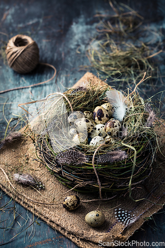 Image of Nest with quail eggs for Easter and blooming branches on black background