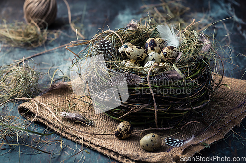 Image of Nest with quail eggs for Easter and blooming branches on black background