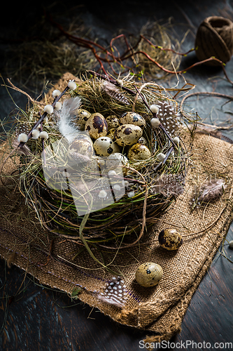 Image of Nest with quail eggs for Easter and blooming branches on black background