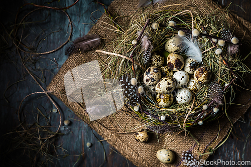 Image of Nest with quail eggs for Easter and blooming branches on black b