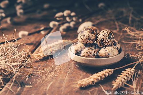 Image of Quail eggs for Easter and blooming pussy willow branches on wooden background