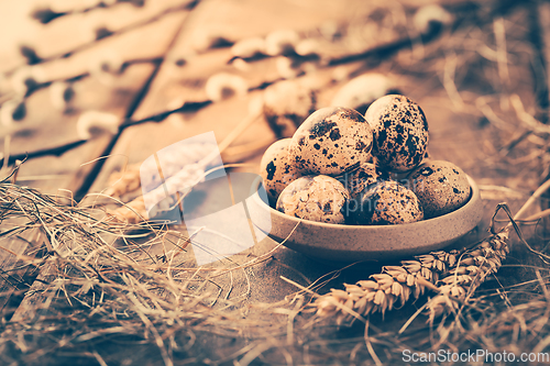 Image of Quail eggs for Easter and blooming pussy willow branches on wooden background