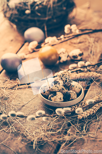 Image of Quail eggs for Easter and blooming pussy willow branches on wooden background