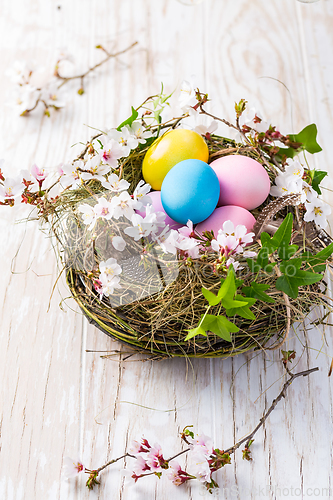 Image of Nest with Easter eggs and blooming branches on white wooden background