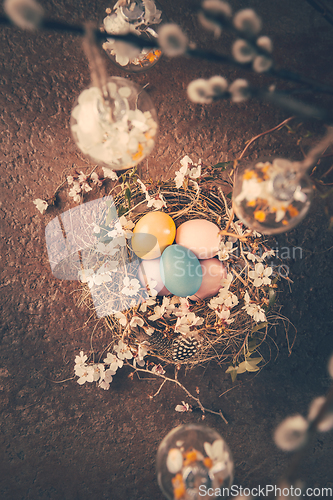 Image of Nest with Easter eggs and blooming branches with pussy willow branches decorated