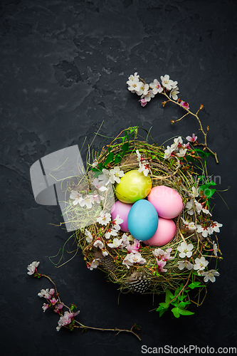 Image of Nest with Easter eggs and blooming branches on black background