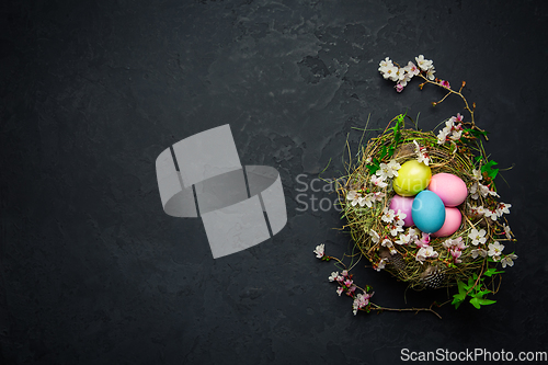 Image of Nest with Easter eggs and blooming branches on black background