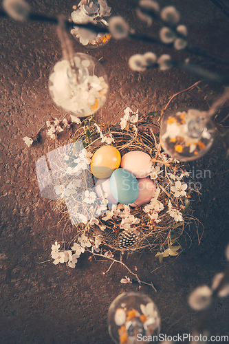 Image of Nest with Easter eggs and blooming branches with pussy willow branches decorated