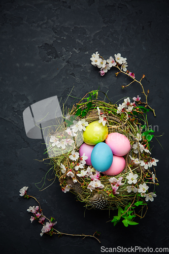Image of Nest with Easter eggs and blooming branches on black background