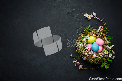 Image of Nest with Easter eggs and blooming branches on black background