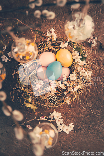 Image of Nest with Easter eggs and blooming branches with pussy willow branches