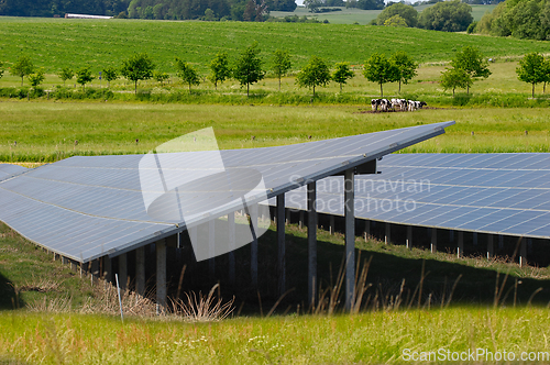 Image of Rows of solar panels and green nature