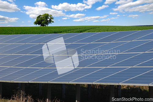 Image of Rows of solar panels and green nature