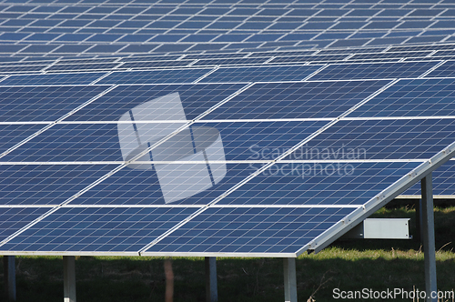 Image of Rows of solar panels