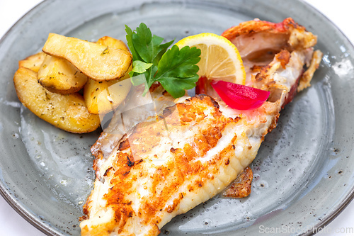 Image of plate of grilled fish fillet