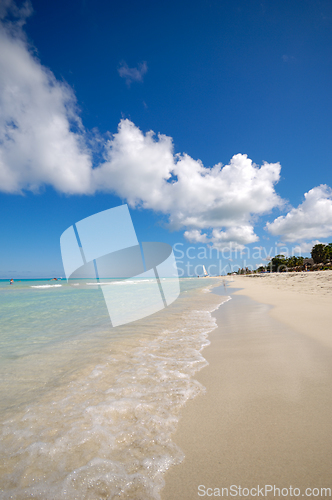 Image of Tropical beach