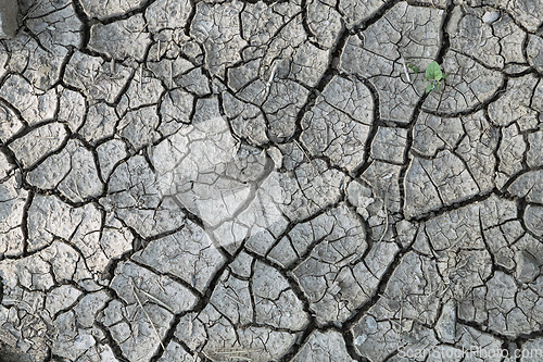 Image of dry earth texture