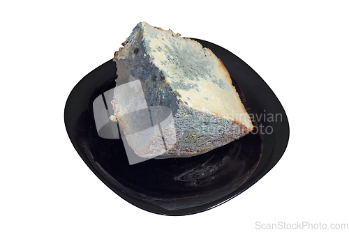 Image of mouldy piece of bread