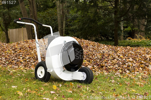 Image of professional leaf blower
