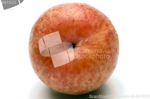 Image of pluots fruit hybrid plum and apricot
