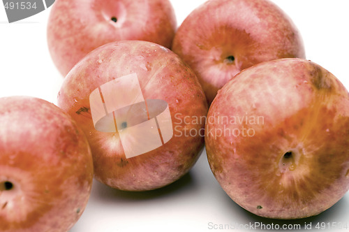 Image of pluots fruit hybrid plum and apricot