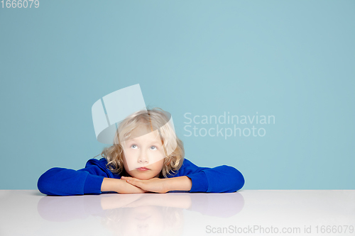 Image of Happy curly boy isolated on blue studio background. Looks happy, cheerful, sincere. Copyspace. Childhood, education, emotions concept