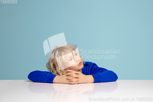 Image of Happy curly boy isolated on blue studio background. Looks happy, cheerful, sincere. Copyspace. Childhood, education, emotions concept