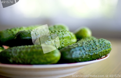 Image of fresh cucumbers