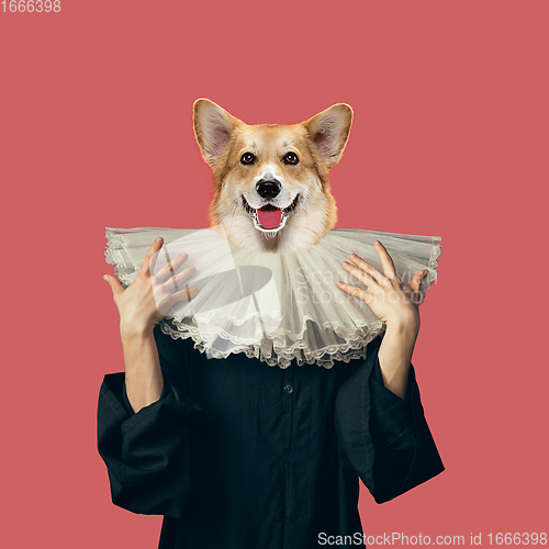 Image of Model like medieval royalty person in vintage clothing headed by dog head. Concept of comparison of eras, artwork, renaissance, baroque style. Creative collage.