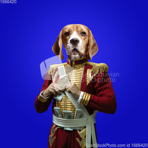 Image of Model like medieval royalty person in vintage clothing headed by dog head. Concept of comparison of eras, artwork, renaissance, baroque style. Creative collage.