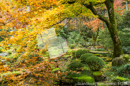 Image of Beautiful Japanese temple in autumn season