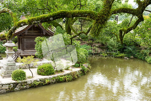 Image of Beautiful japanese garden