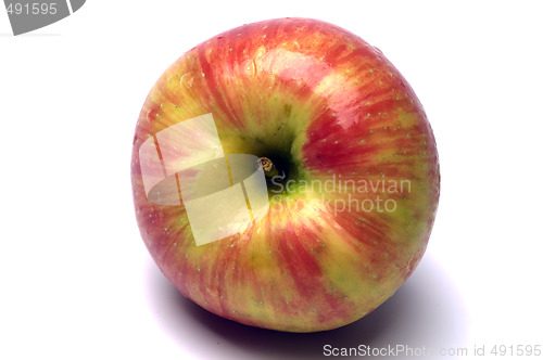 Image of honeycrisp apples