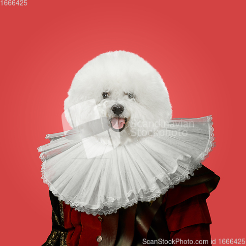 Image of Model like medieval royalty person in vintage clothing headed by dog head. Concept of comparison of eras, artwork, renaissance, baroque style. Creative collage.