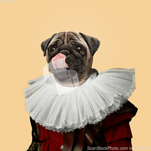 Image of Model like medieval royalty person in vintage clothing headed by dog head. Concept of comparison of eras, artwork, renaissance, baroque style. Creative collage.