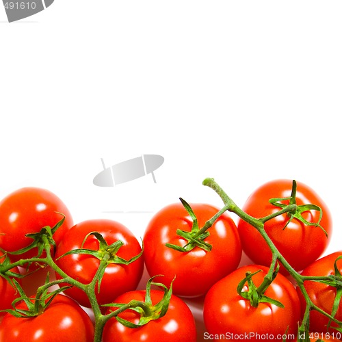 Image of fresh tomatoes