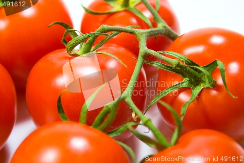 Image of fresh tomatoes