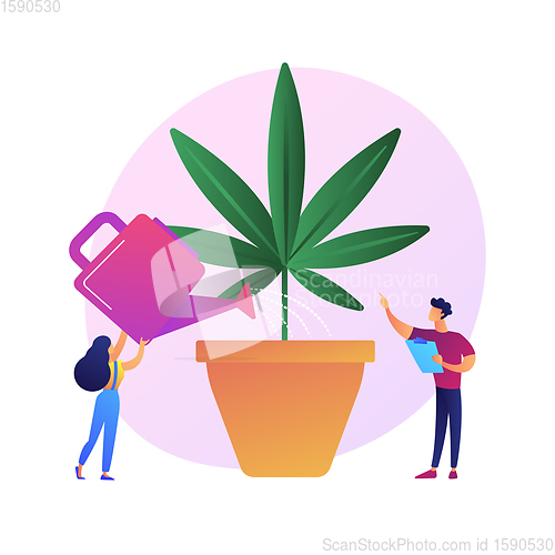 Image of Hemp growing vector concept metaphor