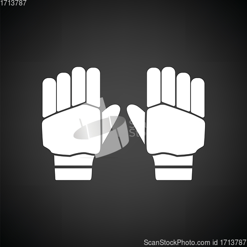 Image of Pair of cricket gloves icon